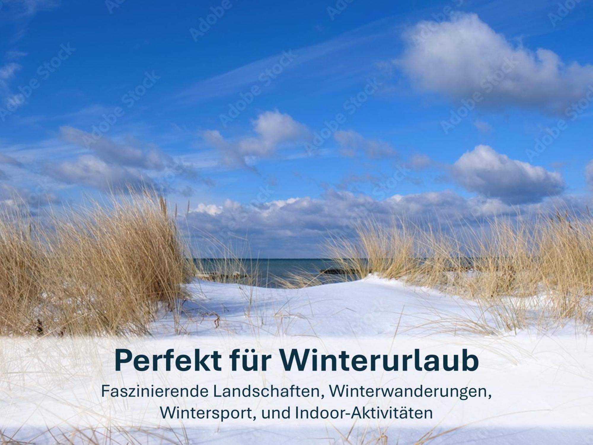 Zinnowitz, Paradies Am Wald - Wg 05 Esterno foto
